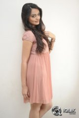 Nikitha Narayan at Ladies and Gentlemen Movie Song Launch